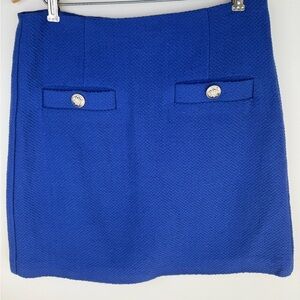 Ann Taylor Royal Blue Mini Skirt